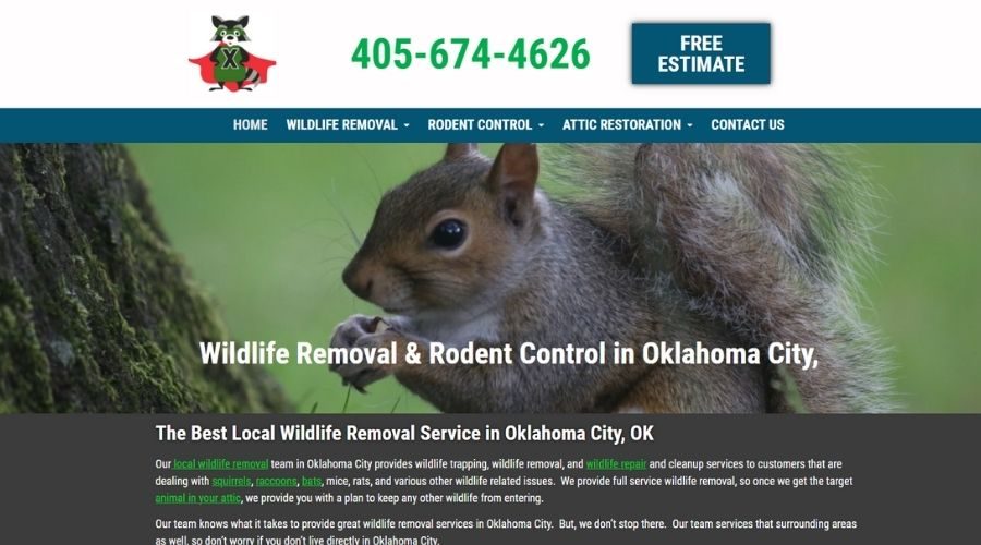 Wildlife Removal Leads in Oklahoma City, OK