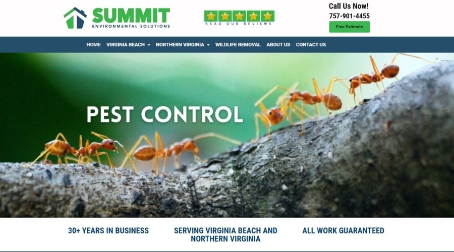 Wildlife Removal Virginia Beach - Summit Environmental Solutions